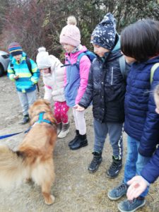 3a Tierheim – Pet Buddy Kurs