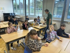 2a – Die Karotte