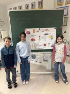 Kinder lernen von Kindern – Projekt „Innere Organe“