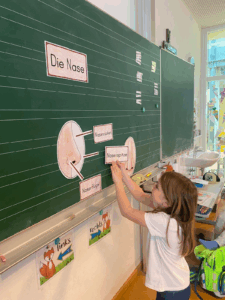 1b-Sachunterricht, Thema: Sinne